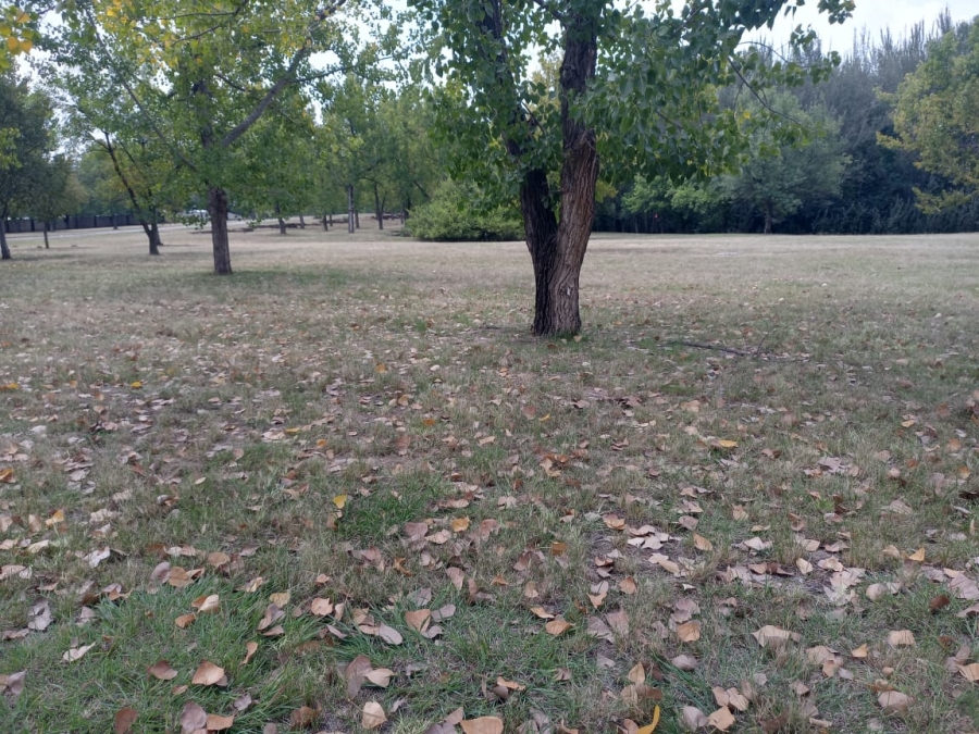 0 Bedroom Property for Sale in Willow Creek Riverfront Residential Estate Free State